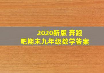 2020新版 奔跑吧期末九年级数学答案